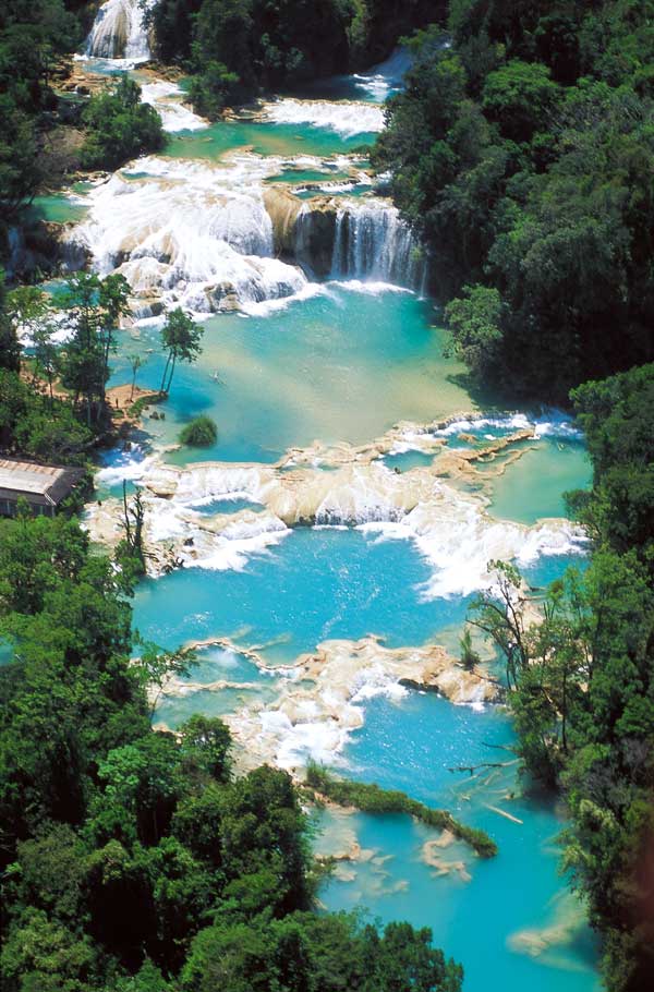 Piscinas Naturaales - Cascadas de Agua Azul. Chiapas (México)